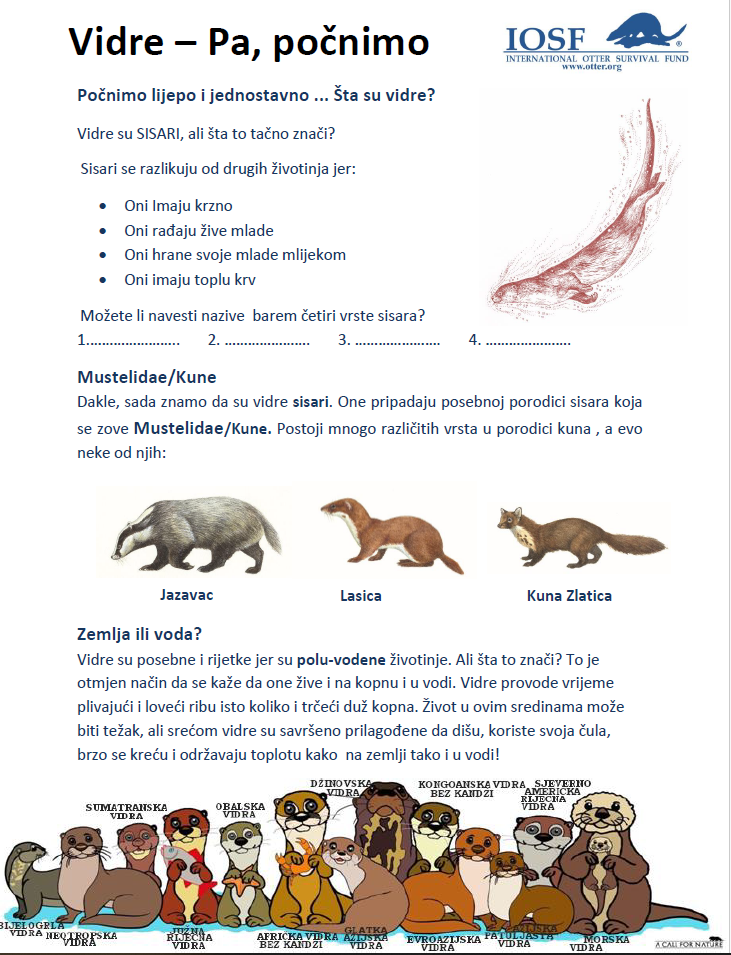 Education Pack - Montenegrin Cover.PNG