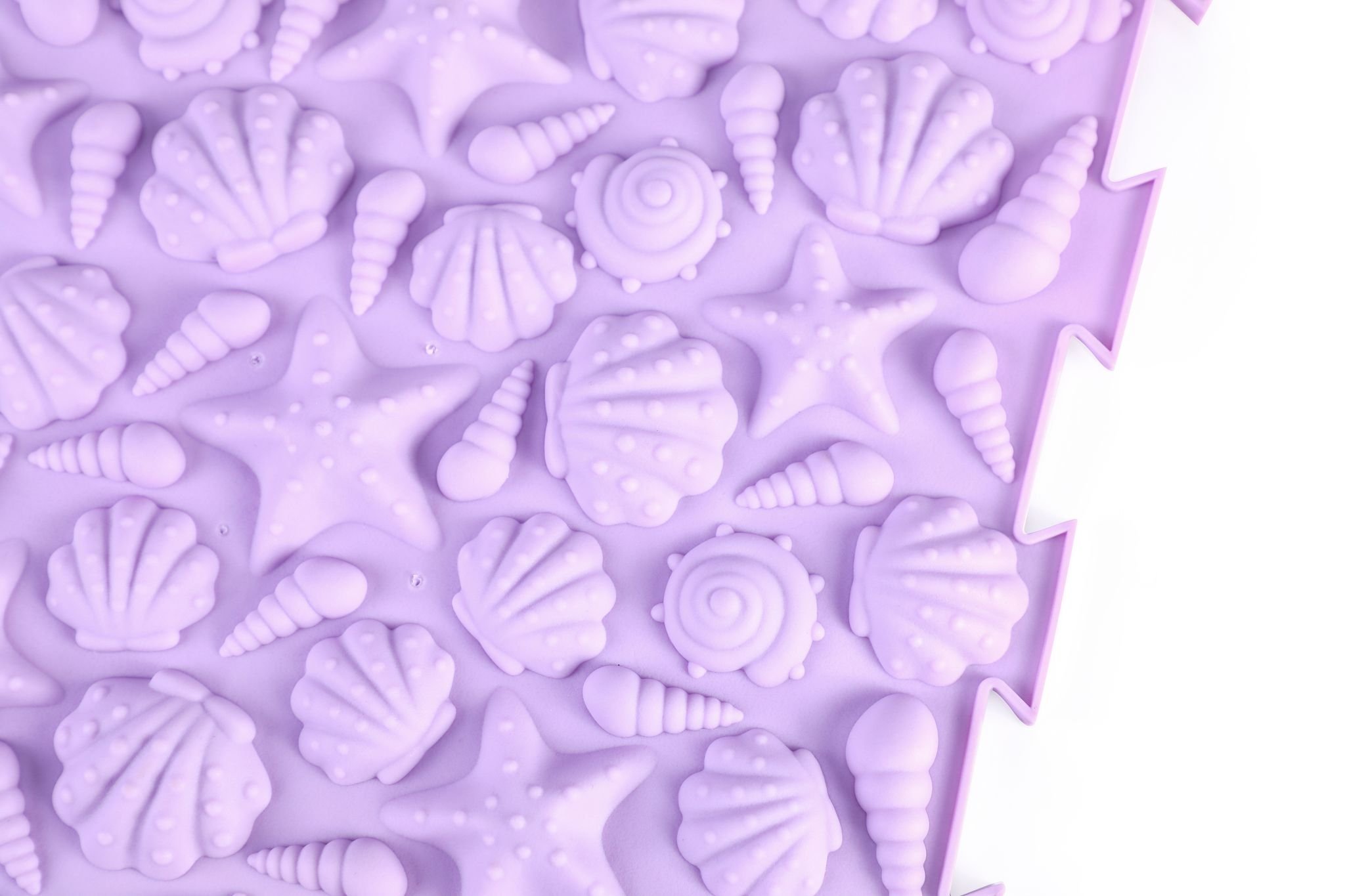 Sensory mat close up shells.jpeg