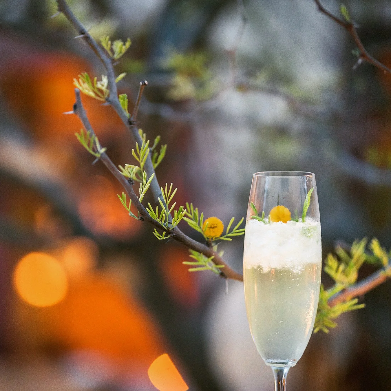 Enjoy fresh Greek cuisine at Karma Oia Santorini – 3-course dinner €25 during Happy Hour 4–6 PM, vegetarian & vegan options. 在聖托里尼伊亞 Oia Karma 餐廳享用三道式晚餐 €25,素食友好。サントリーニ島イアKarmaで3コースディナー€25、ベジタリアン対応。