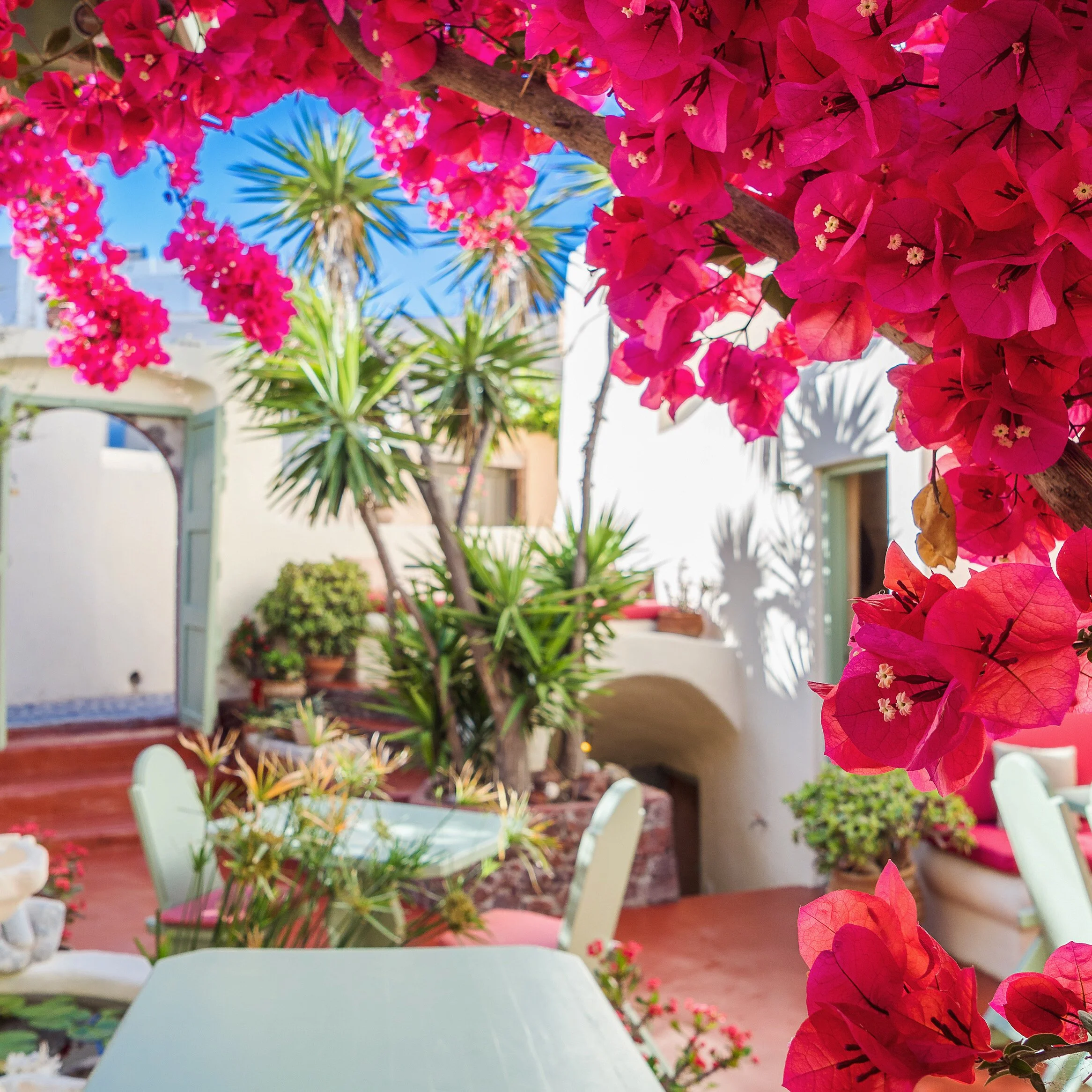 Dining scene at Karma in Oia with signature Seafood Orzo featuring squid and prawns, fragrant Santorini white wine, and garden-fresh herbs—reasons travelers rate Karma one of Oia’s top 10 restaurants.