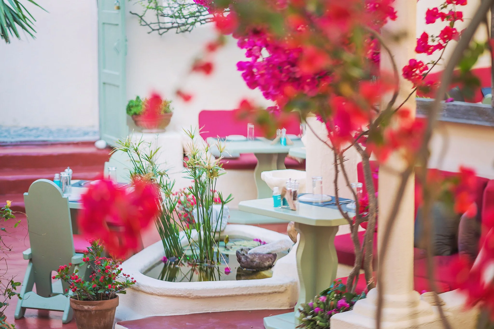 Restaurant Karma à Oia, Santorin – dégustez petit-déjeuner, brunch et dîner avec vins et cocktails locaux. Expérience culinaire unique.