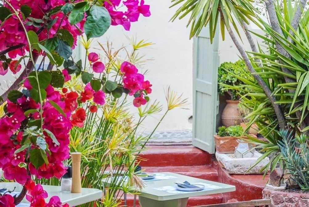 Close-up of Seafood Orzo with tender squid and juicy prawns at Karma Greek Restaurant in Oia, capturing the Aegean flavors, citrus zest, and fresh ingredients that place Karma among Oia’s top restaurants.
