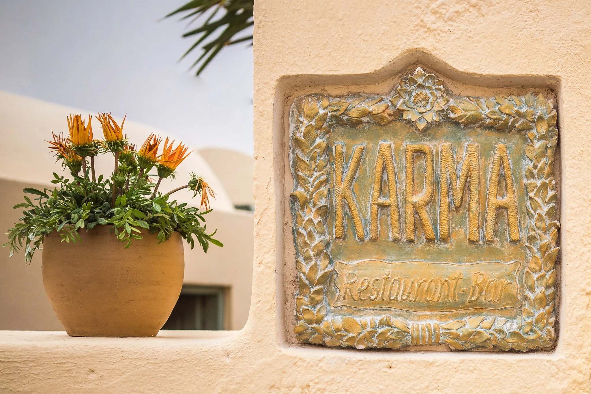 Signature Seafood Orzo at Karma Greek Restaurant in Oia with squid and prawns, plated to showcase fresh local seafood, citrus brightness, and the island atmosphere that draws visitors to Karma.