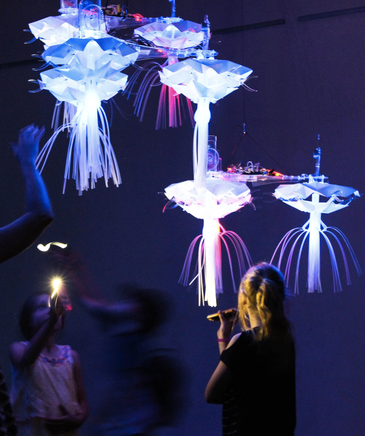 Screen Shot 2023-07-03 at 6.33.51 pm.png