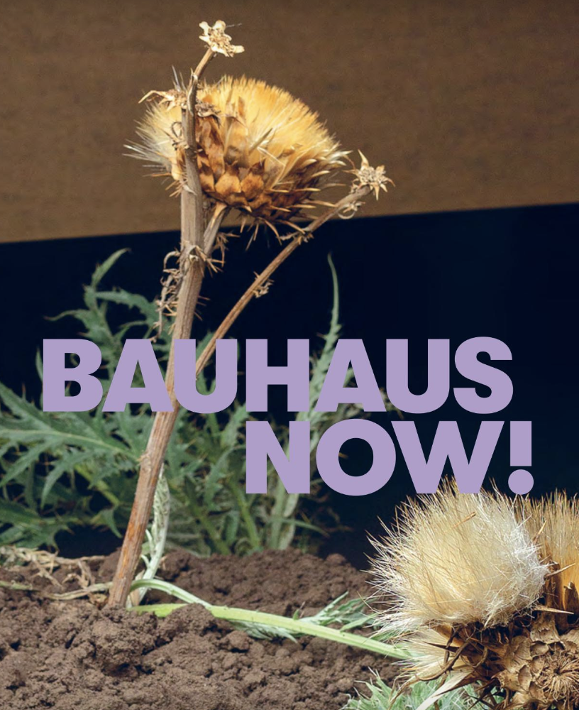 Screen Shot 2023-07-03 at 5.12.02 pm.png