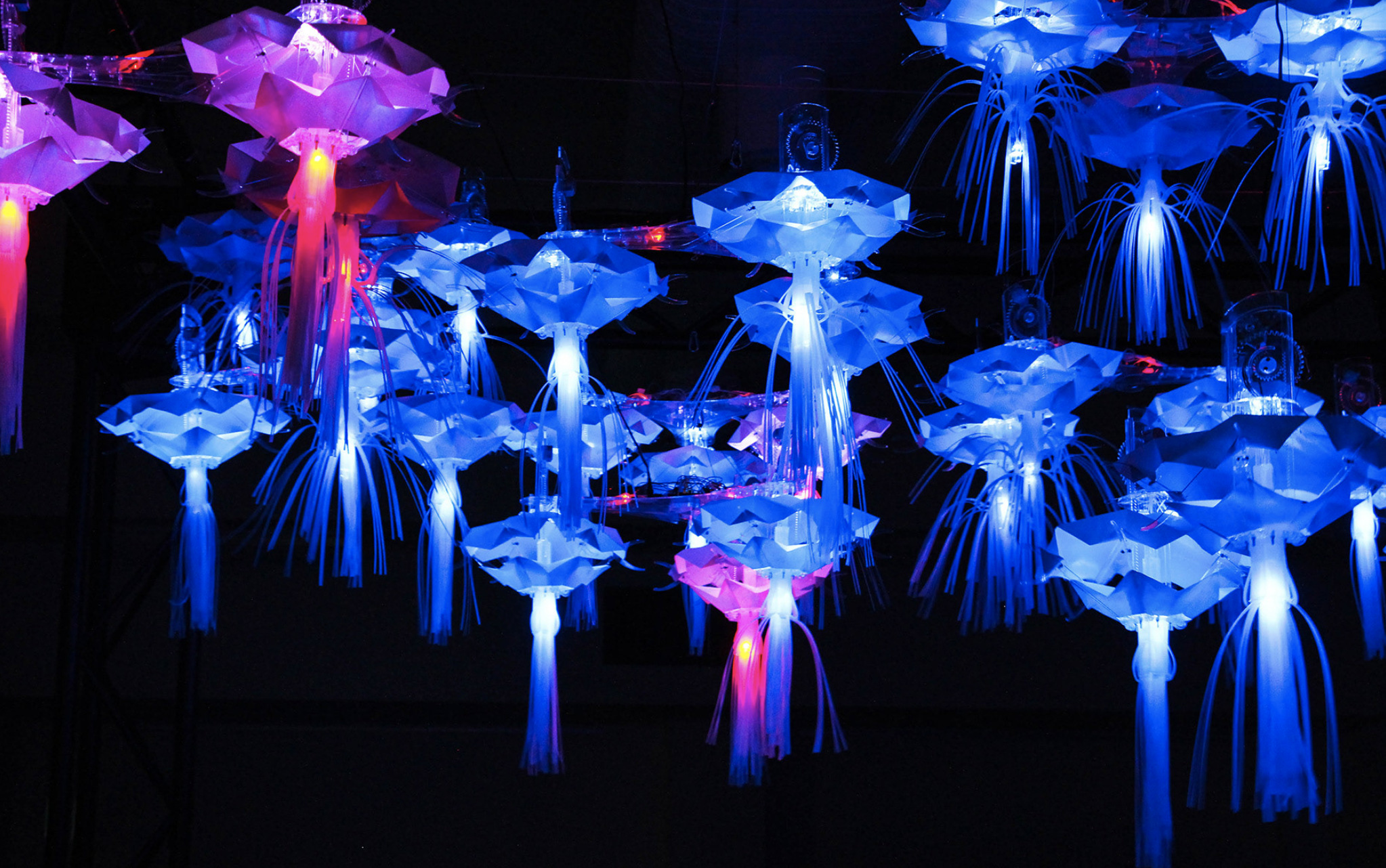 Screen Shot 2023-07-03 at 6.33.39 pm.png