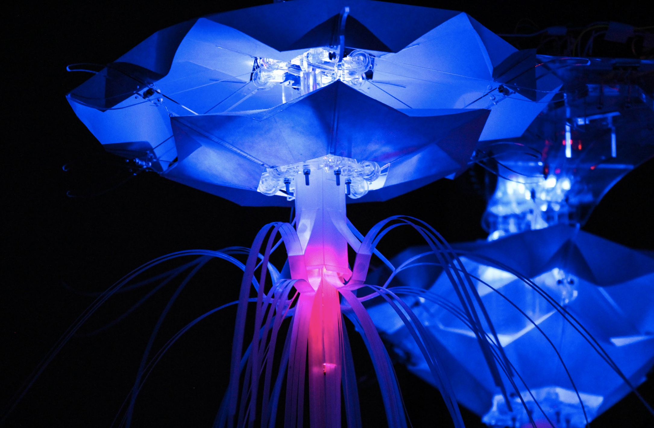 Screen Shot 2023-07-03 at 6.35.35 pm.png