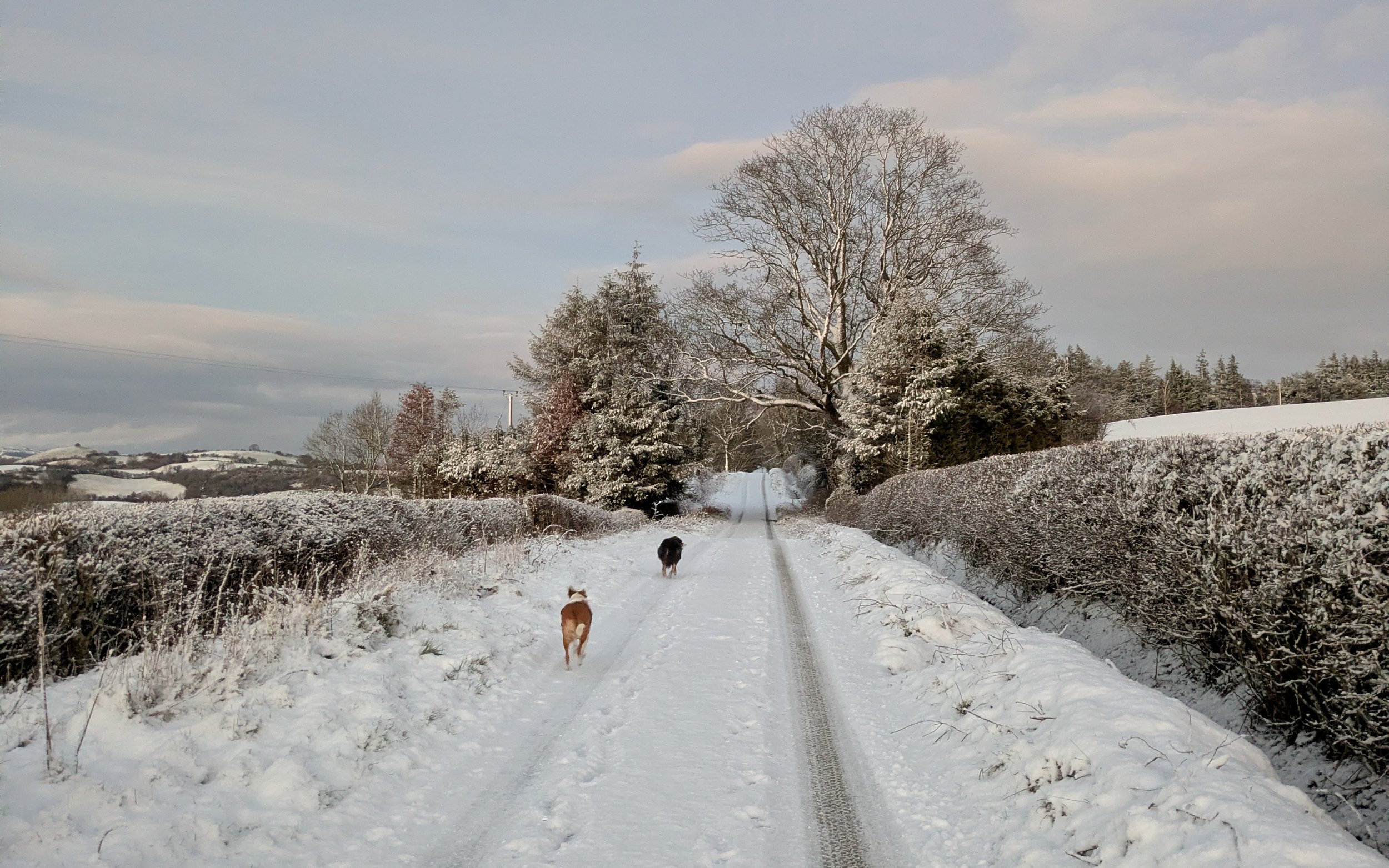 Weather warnings for digital marketing