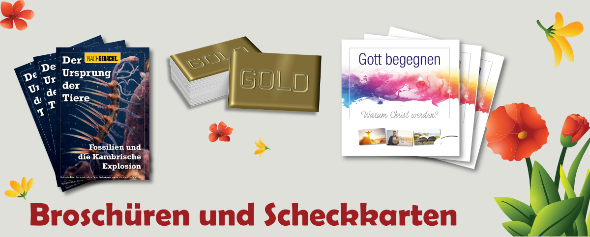 Broschüren und Scheckkarten.png