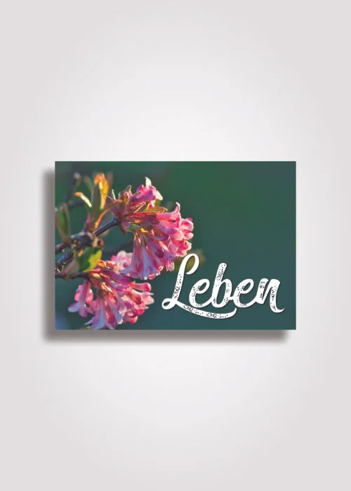 Leben (Faltkarte zu Ostern)