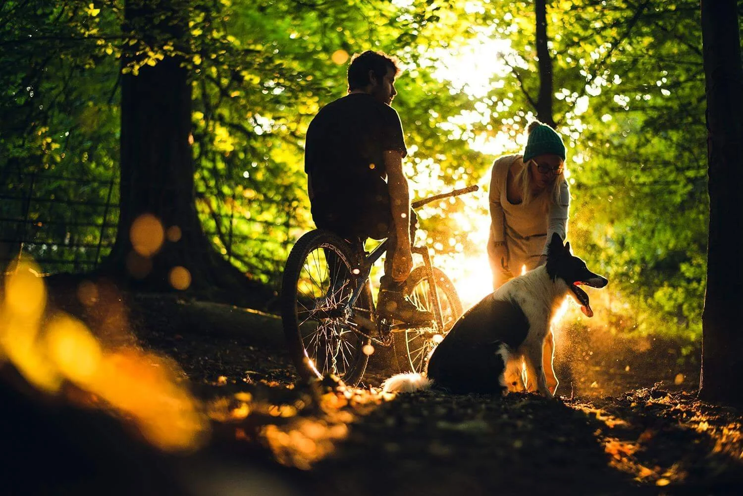 Ross Parkinson Family Business