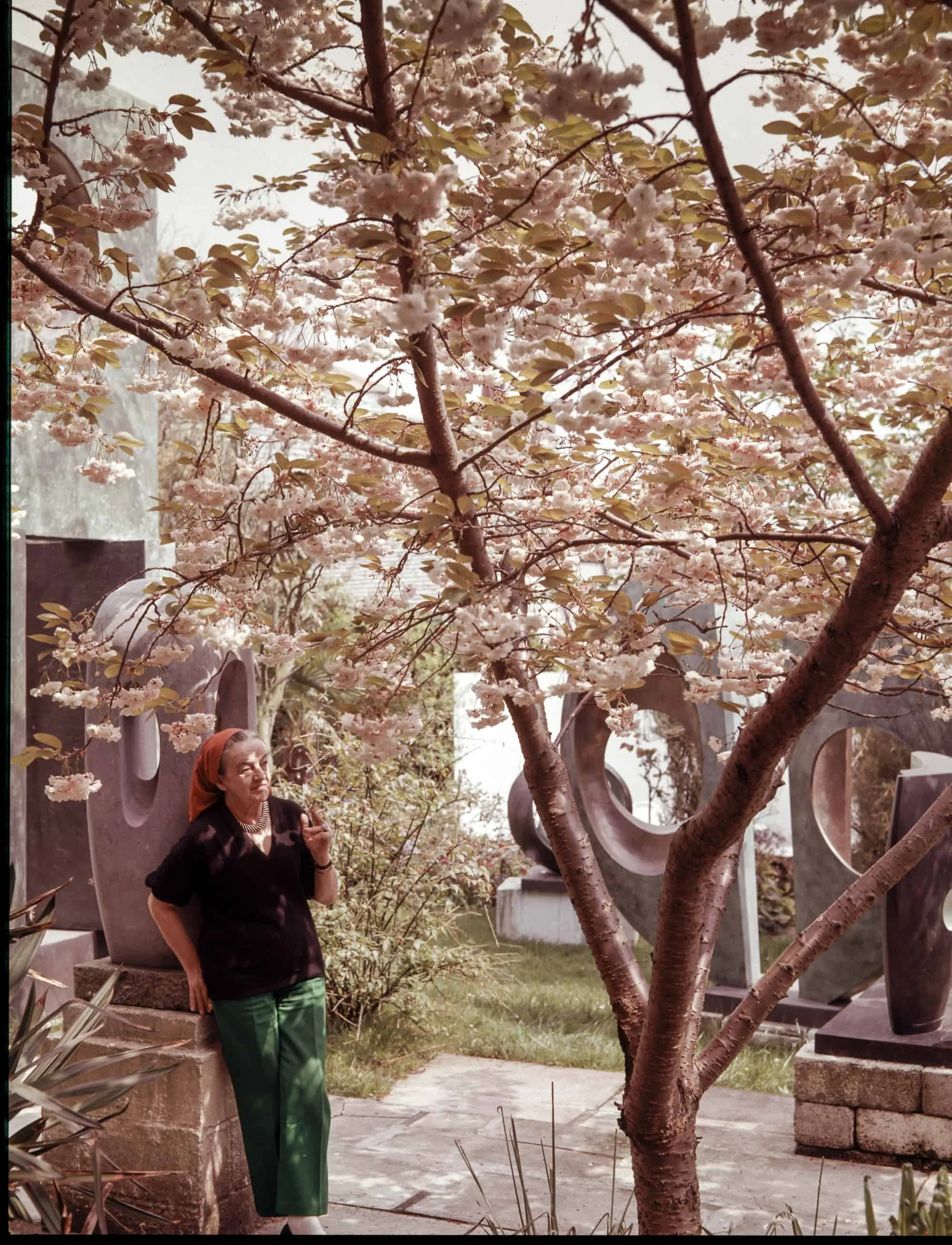 Barbara Hepworth with her cherry tree in 1970