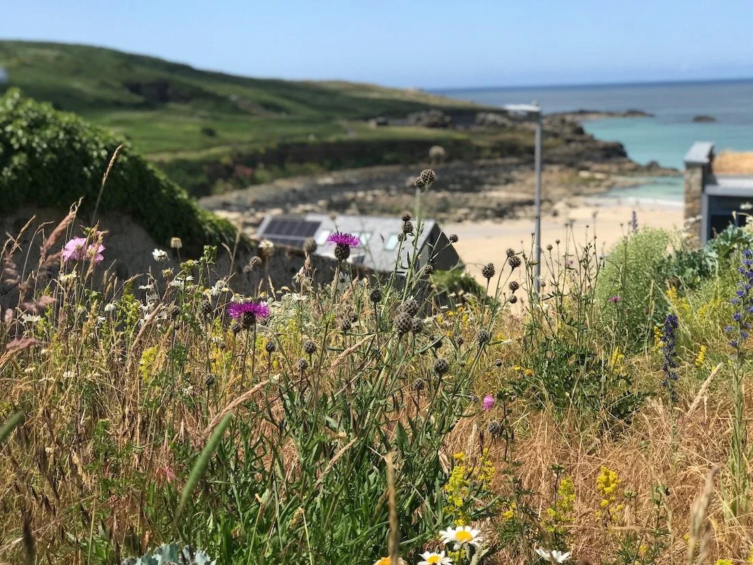 Tate St Ives coastal roof garden Juniper Garden design