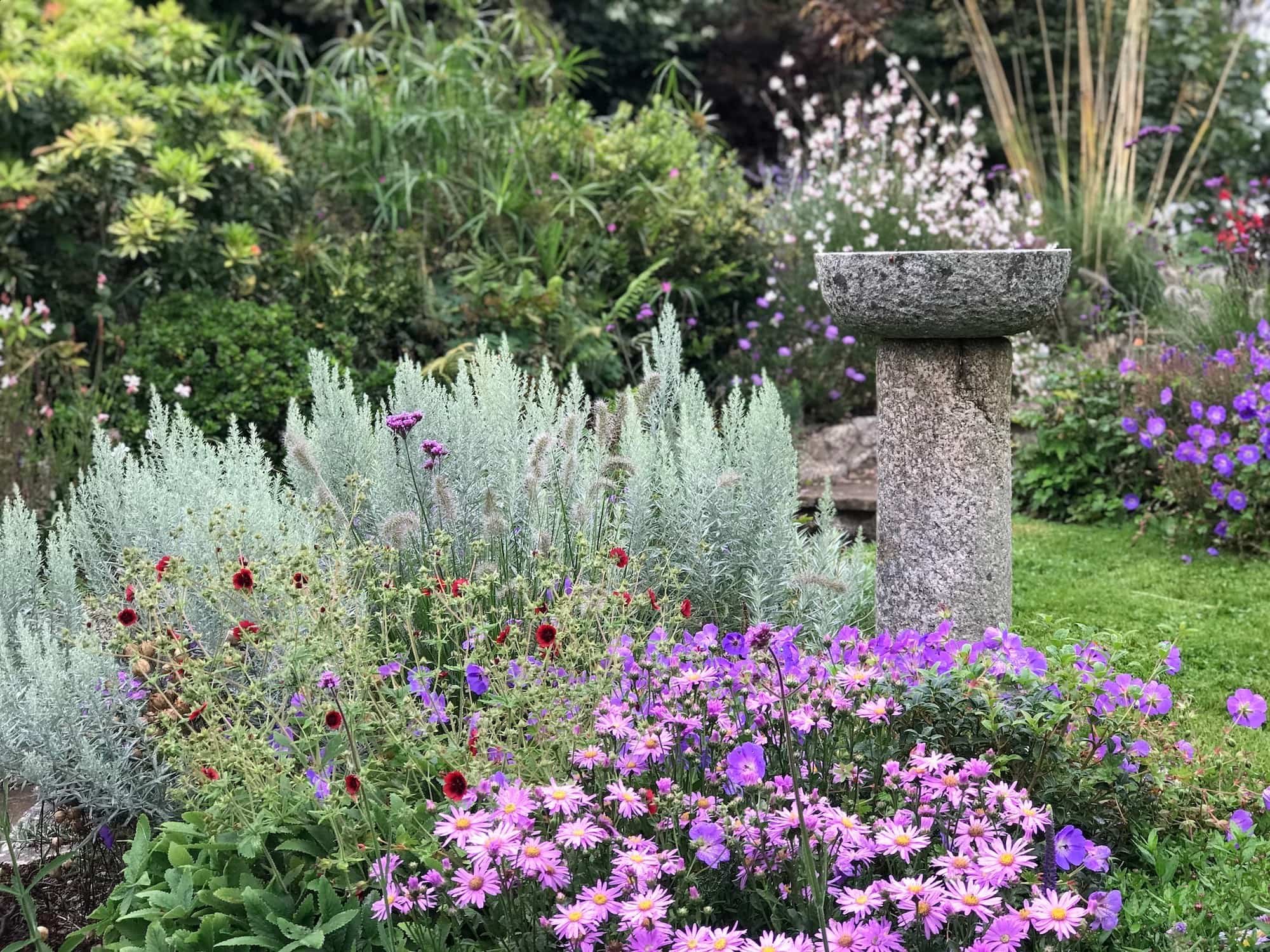 perennial pinks and purples