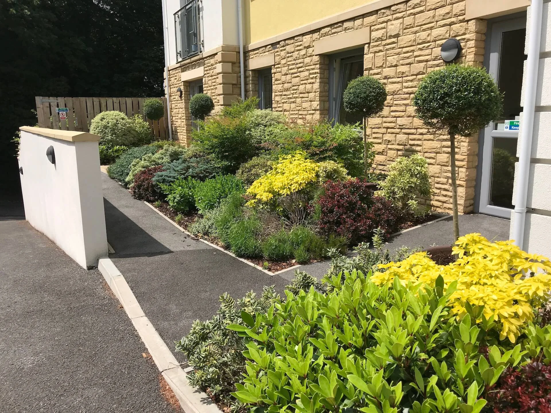 A commercial landscape in Truro, Cornwall with the focus on plant care