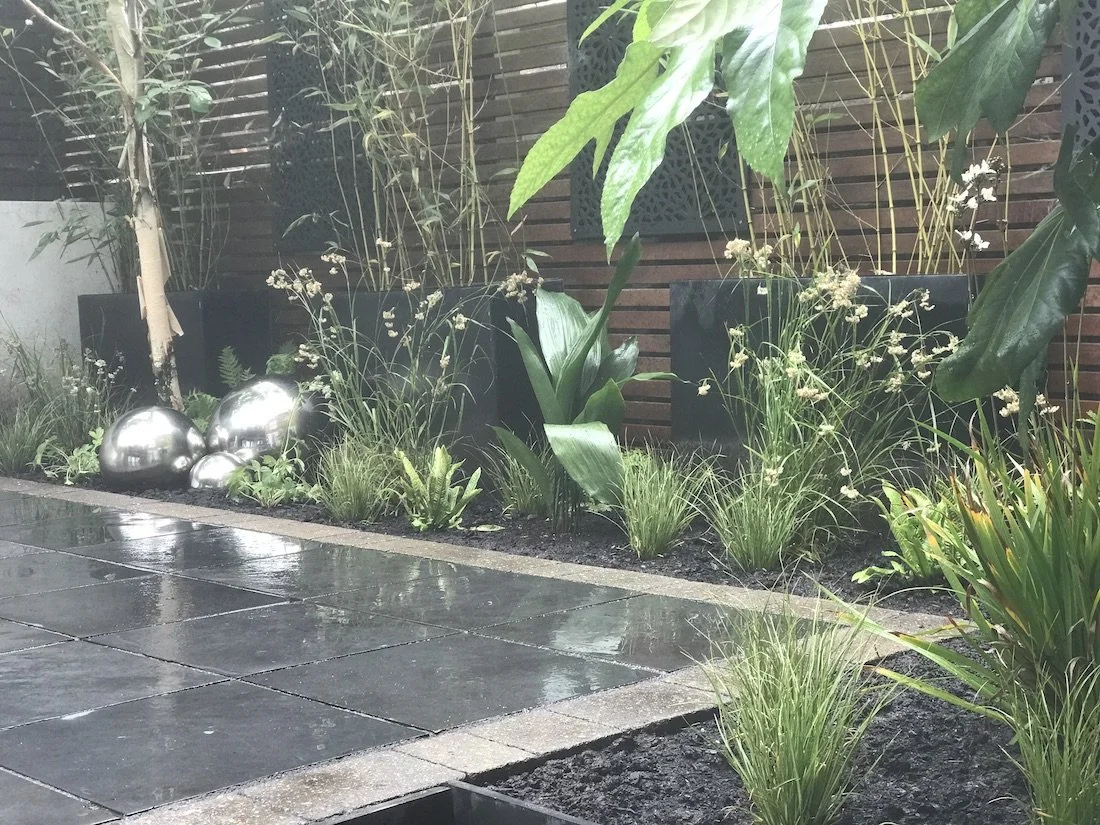 A Truro, courtyard garden with contemporary planting