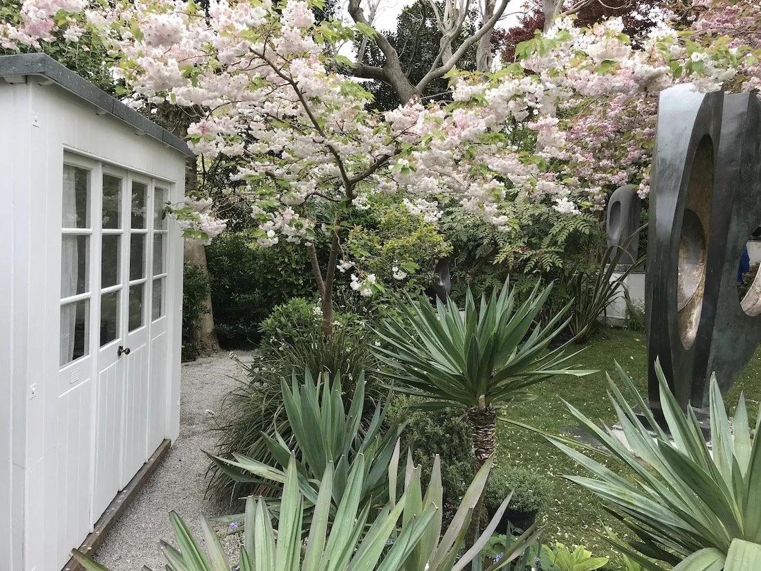 Barbara Hepworth Museum Scupture Garden Cornwall white cherry tree and yuccas with Juniper Gardens