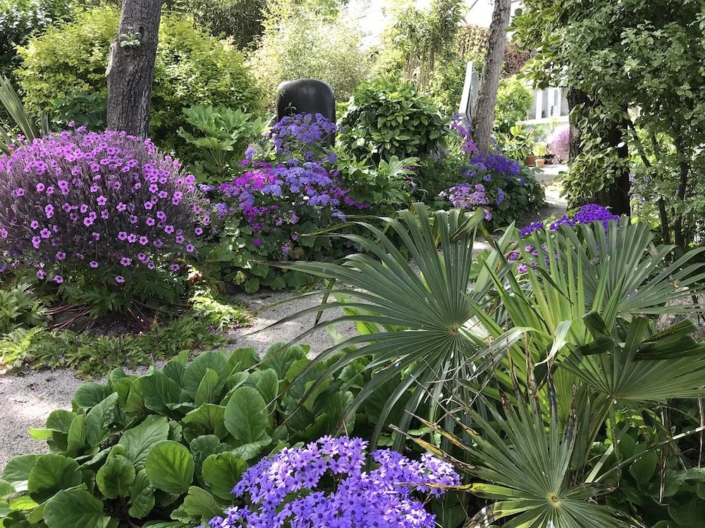 Barbara Hepworth Sculpture Garden, a woodland garden in Cornwall maintained by Juniper Gardens