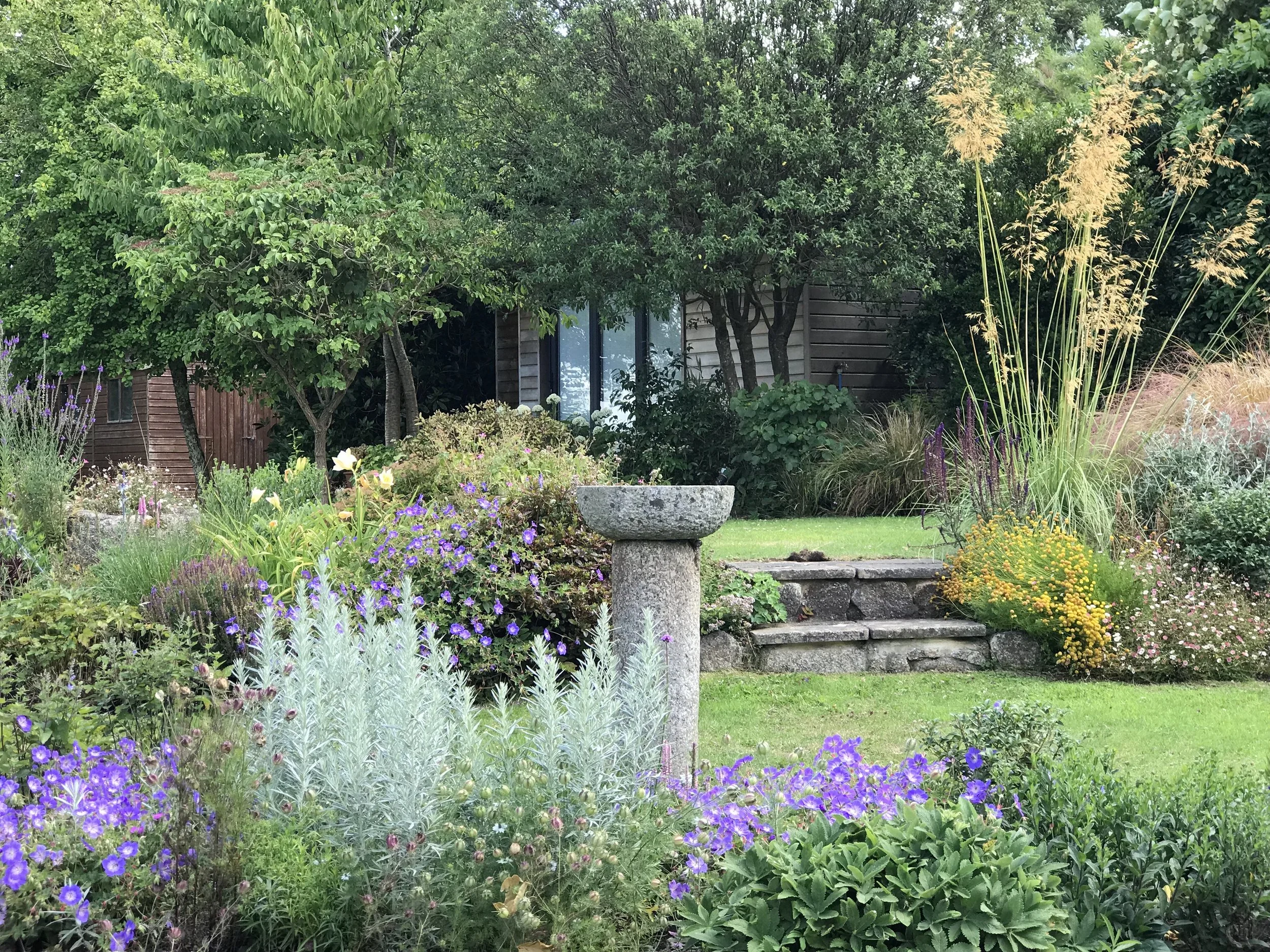 Contemporary, perennial Cornish holiday home garden