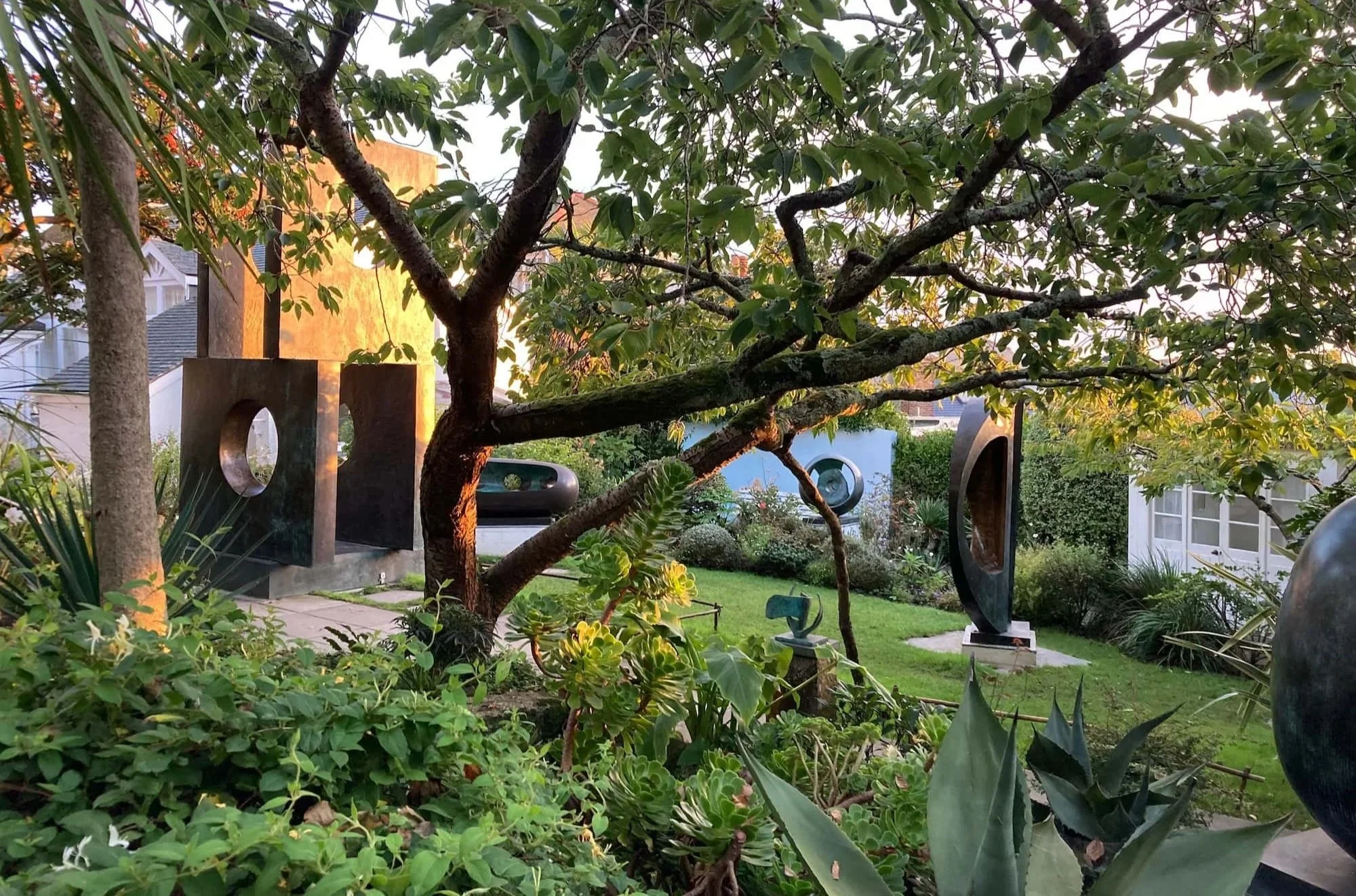 Sunrise light over the Hepworth garden with grand old cherry tree