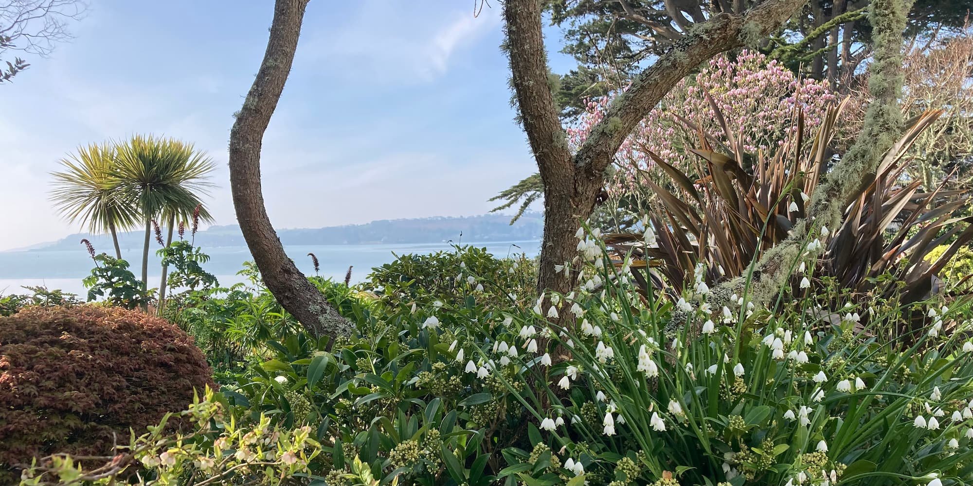 Beautiful still morning at a Cornish estuary garden