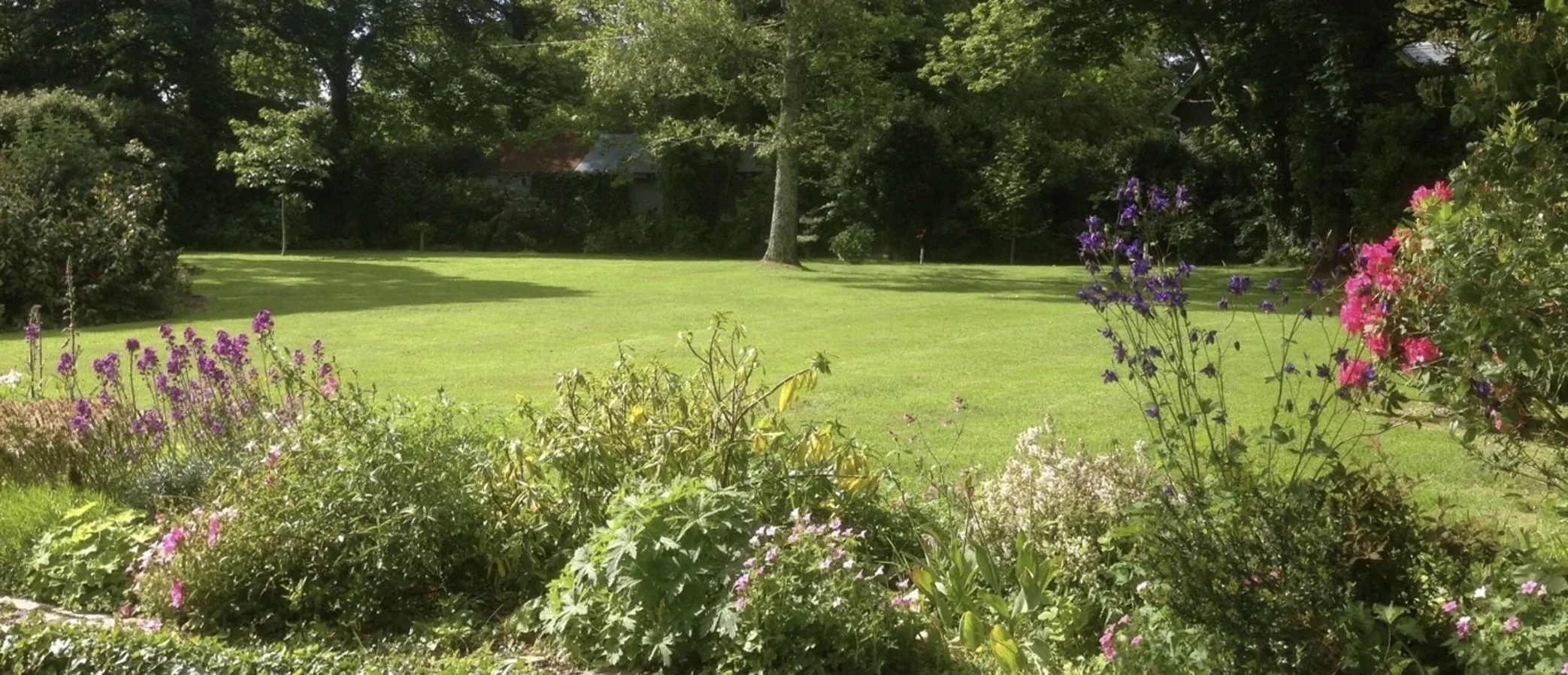 A lush green beautiful lawn in Cornwall