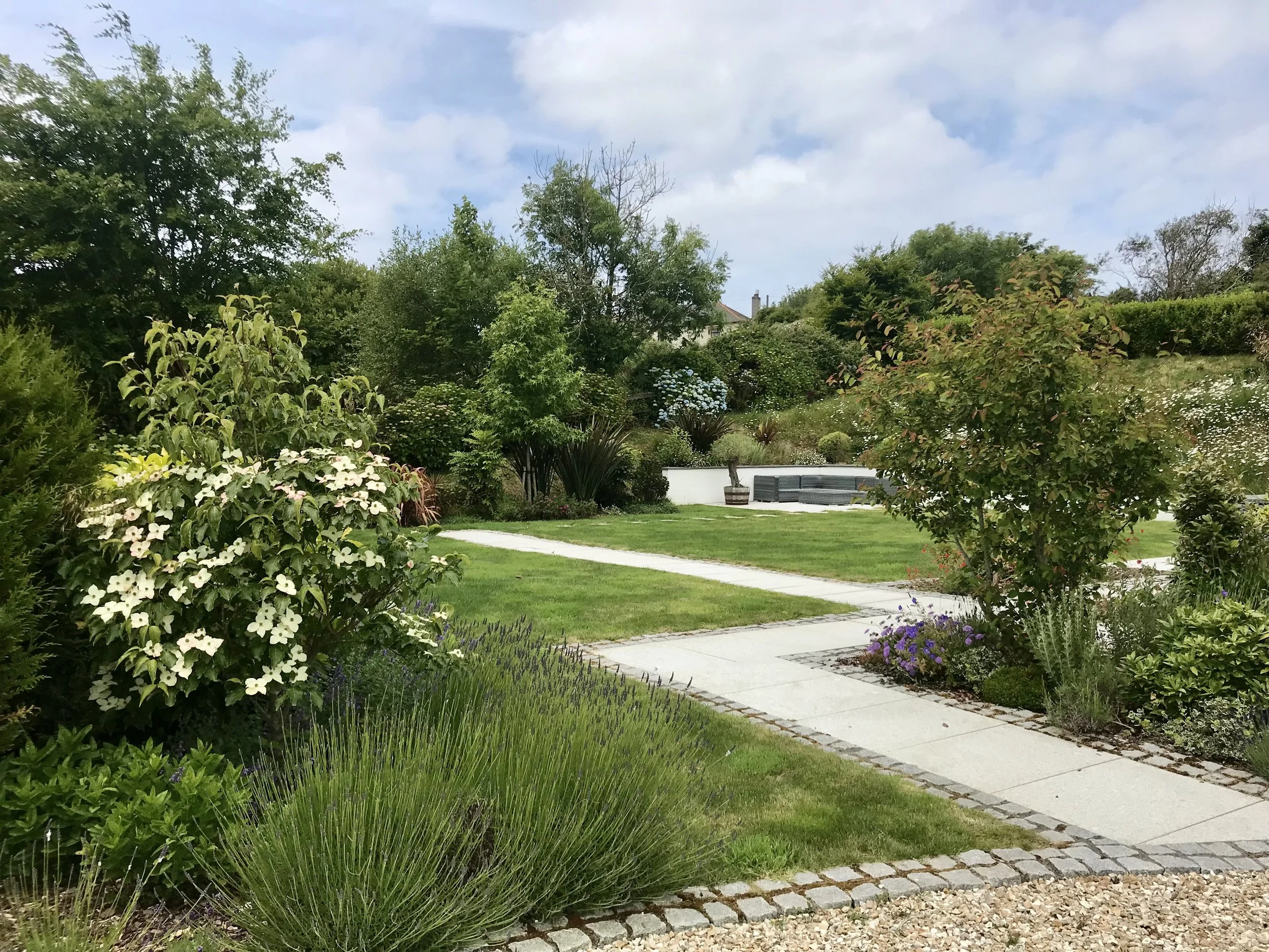 Cornwall garden in Wheal Rose, Scorrier by Juniper Gardens garden services