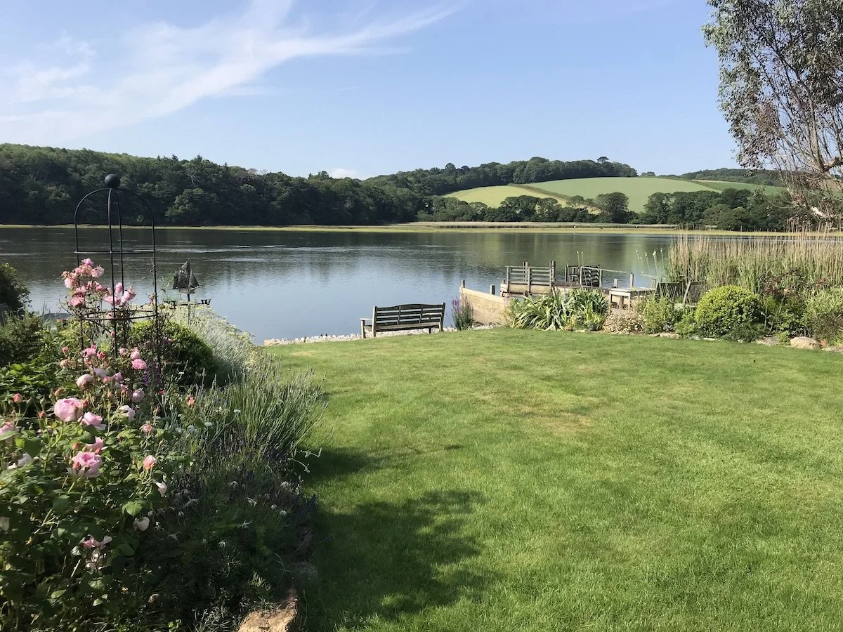 An estuary garden with roses in Devoran Cornwall