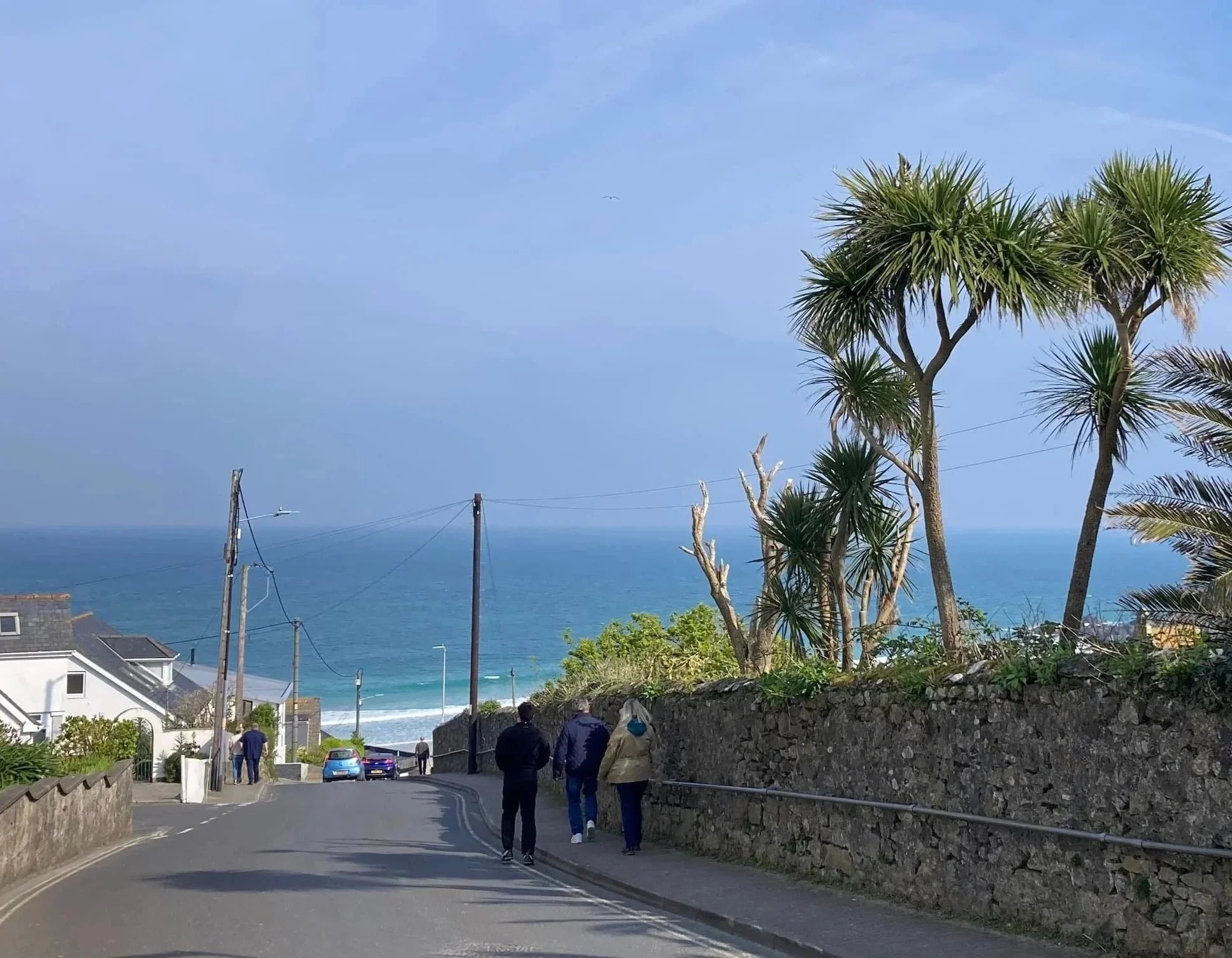 A road down to Porthmeor beach with cordylines