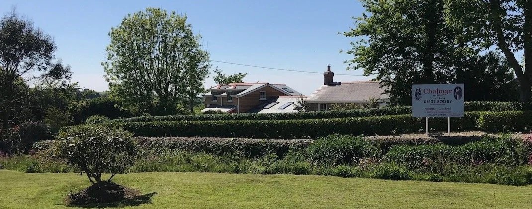 2 beautifully cut hedges in Scorrier, Cornwall