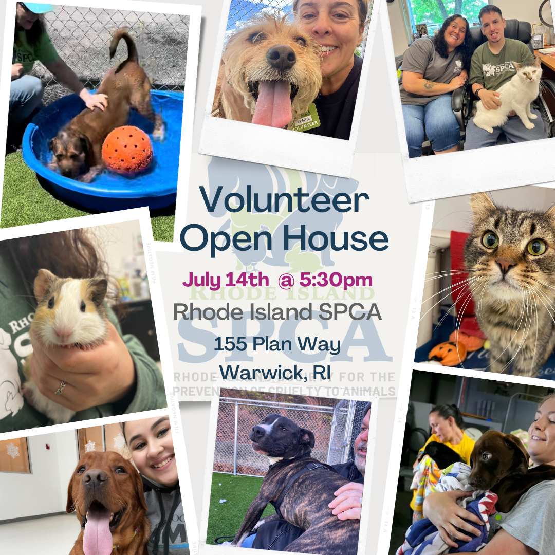 Volunteer Open House