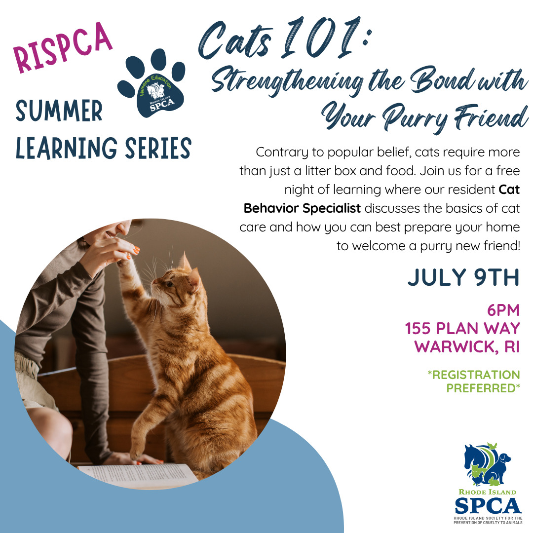 RISPCA Summer Learning Series: Cats 101