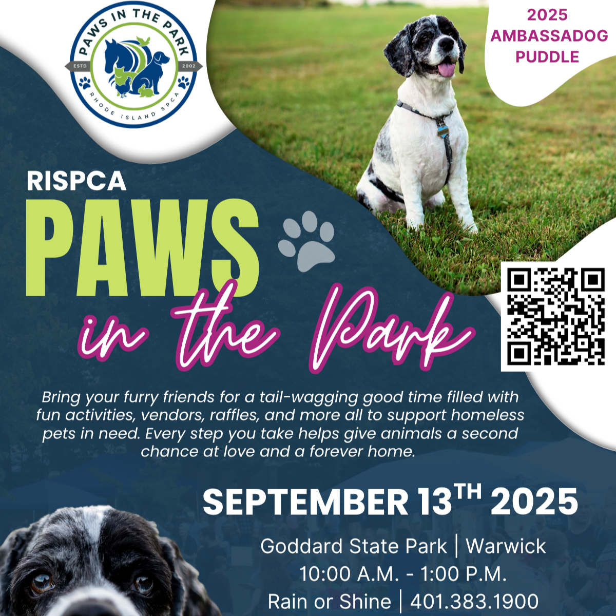 Paws in the Park