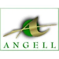 the_angell_pension_group_logo.jpeg