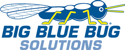 bigbluebug.png