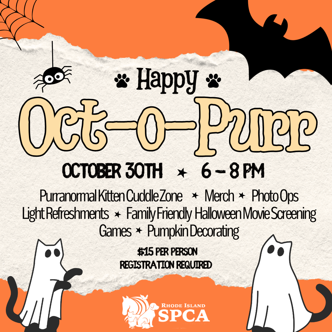 Oct-o-Purr 