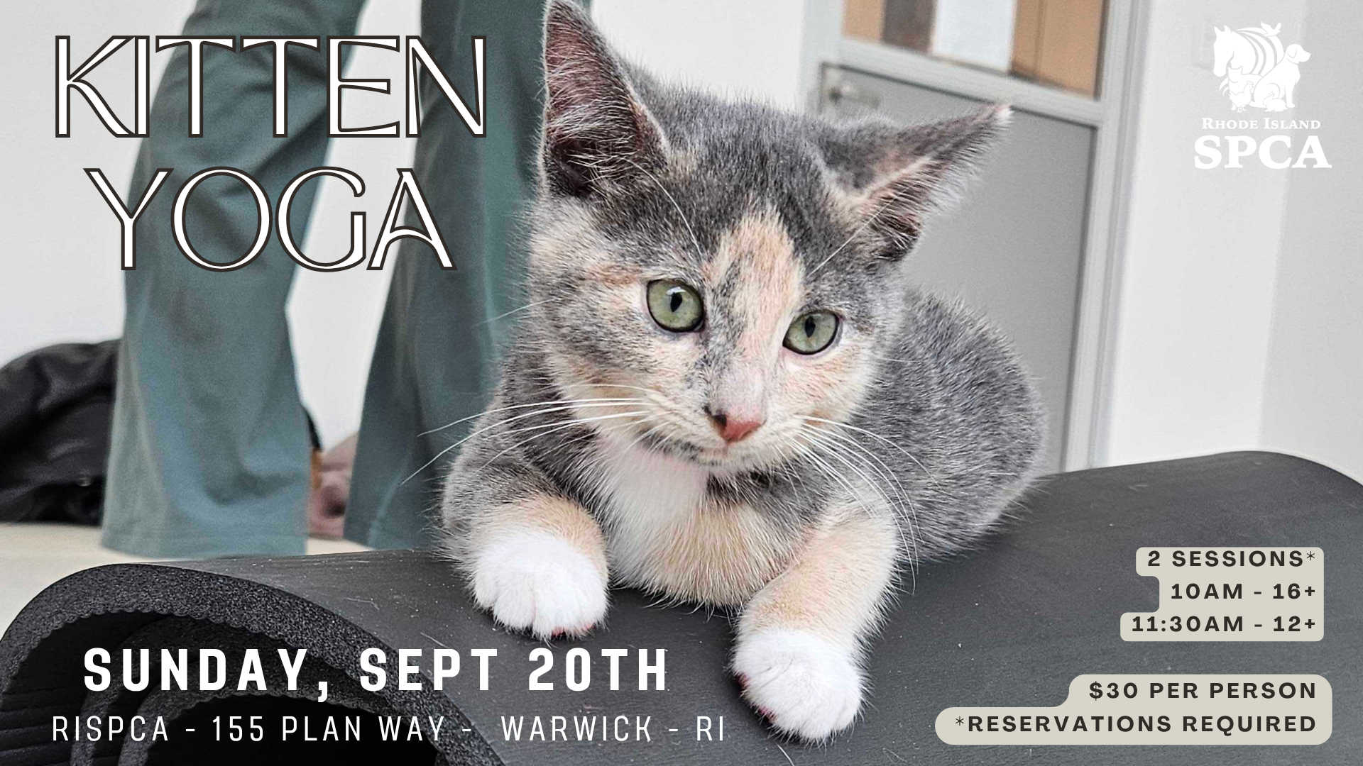 Kitten Yoga (1920 x 1080 px) (1).png
