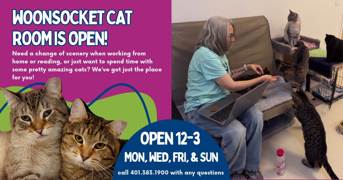 Woonsocket Cat Room Gallery Graphic.png