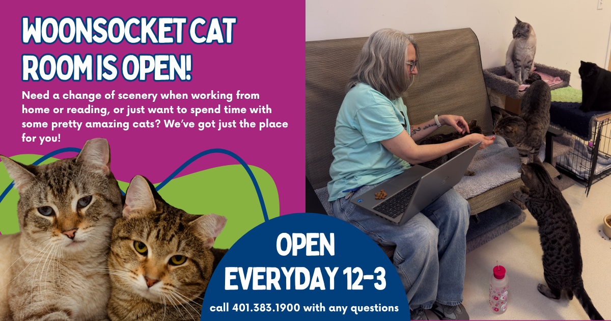 Woonsocket Cat Room Is Open! (1).png
