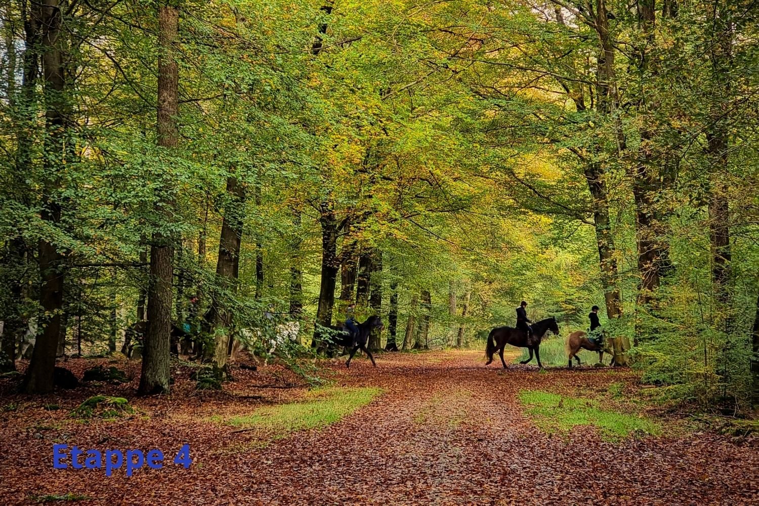 Hoeveel dagen lopen is het Pieterpad? | Lopen Zonder Blaren