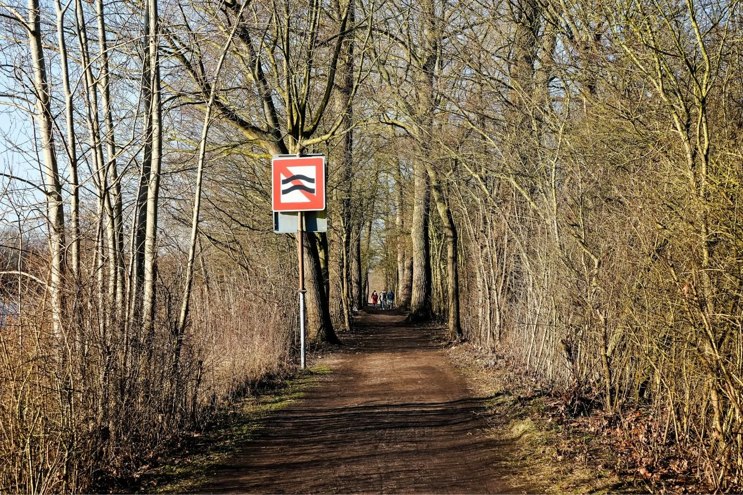 Noaberpad met bosrijk wandelpad langs de Nederlands-Duitse grens
