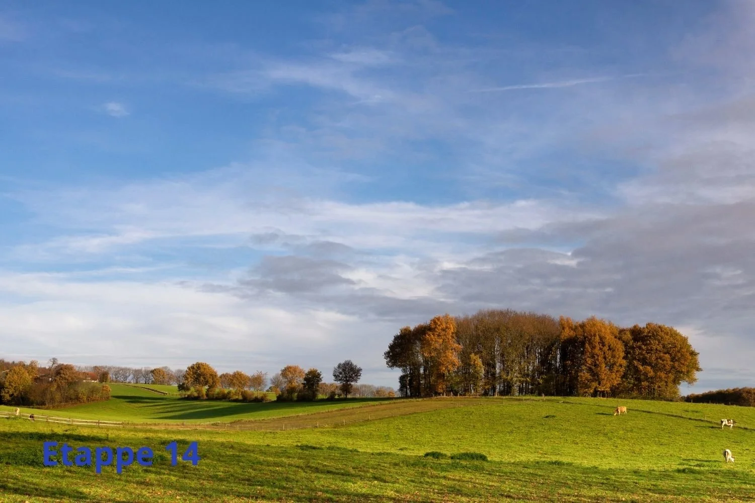Hoeveel dagen lopen is het Pieterpad? | Lopen Zonder Blaren
