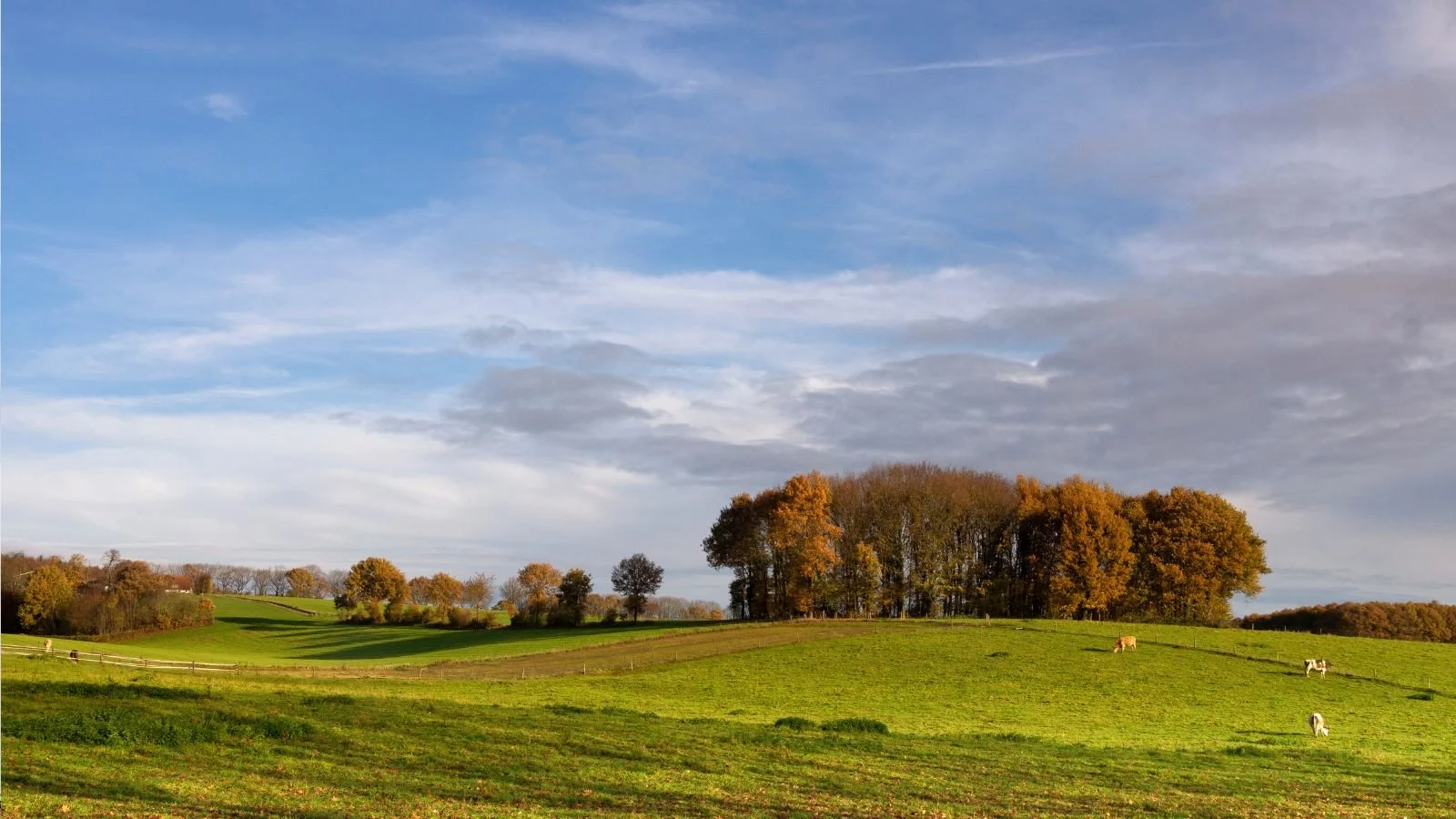 Vierdaagse programma 2026 dag 3 groesbeek