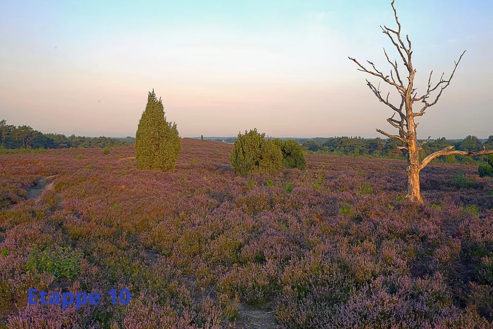Hoeveel dagen lopen is het Pieterpad? | Lopen Zonder Blaren