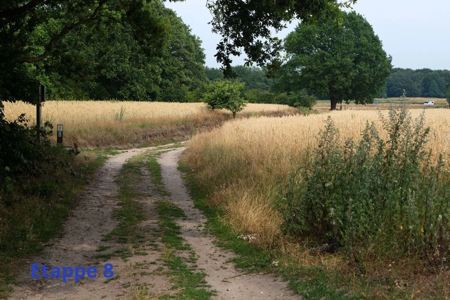 Hoeveel dagen lopen is het Pieterpad? | Lopen Zonder Blaren