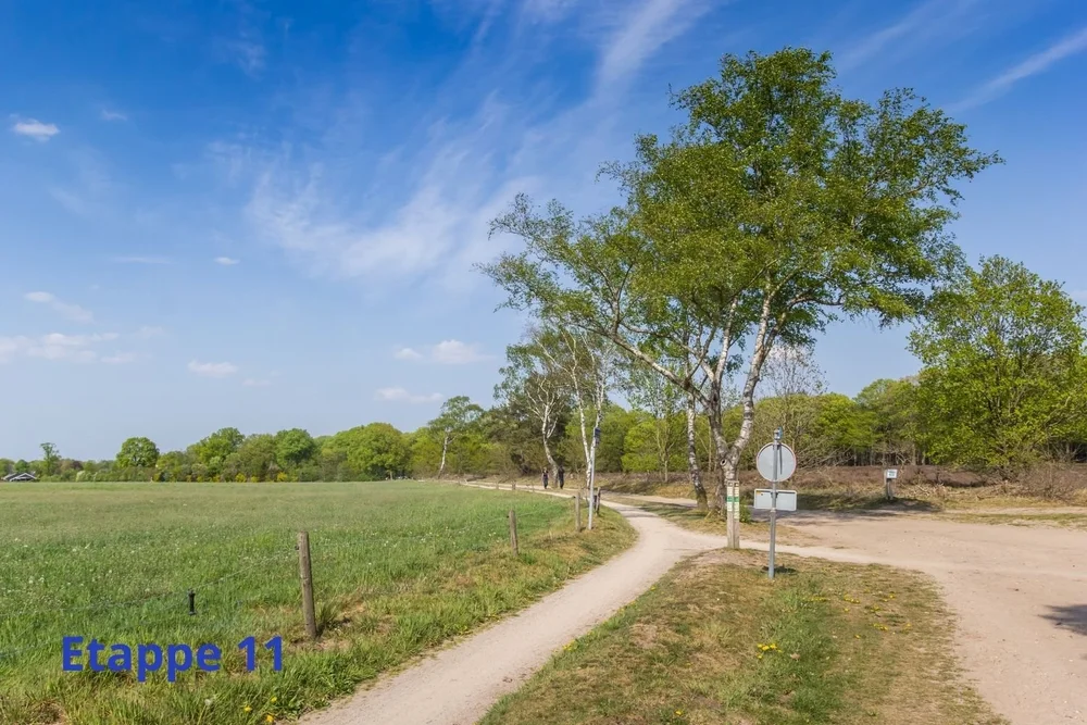 Hoeveel dagen lopen is het Pieterpad? | Lopen Zonder Blaren