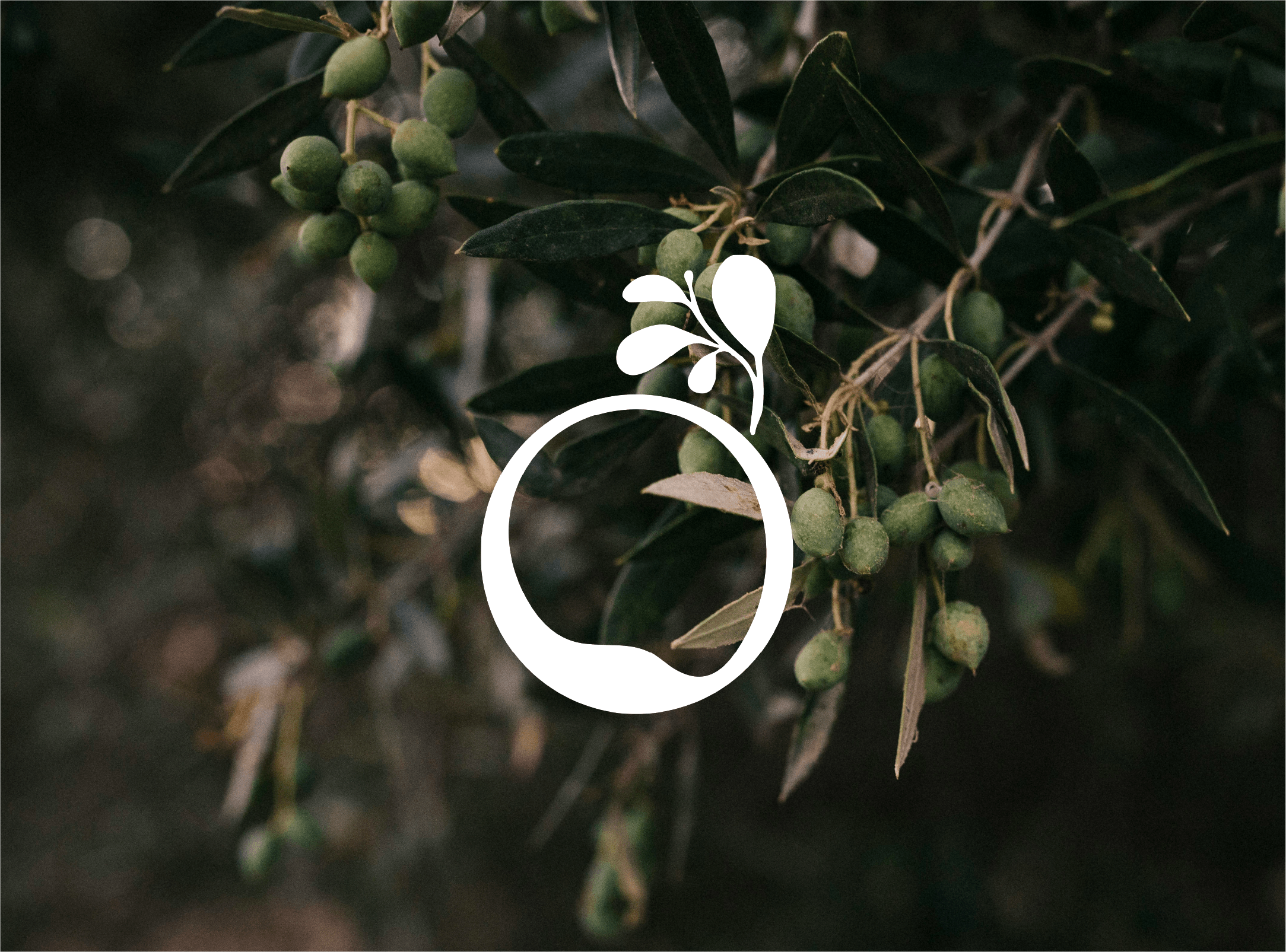 Olive Juice Beauty Bar (Brand Identity, Website, Marketing Collateral)