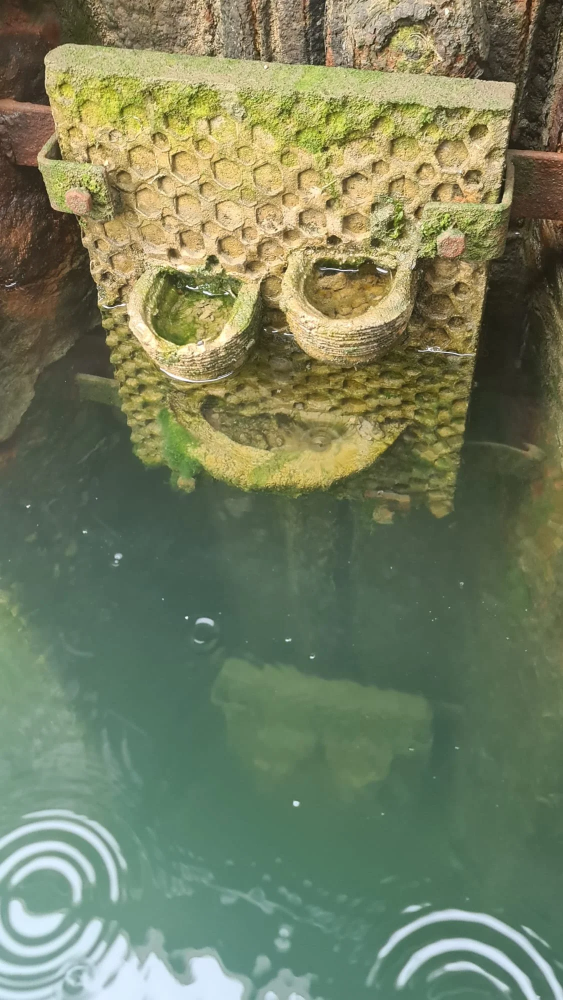 Hamble Harbour ExoHabitats