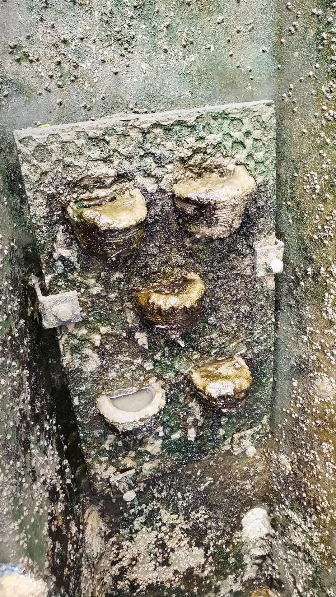 ExoHabitats for Nature Inclusive Harbours