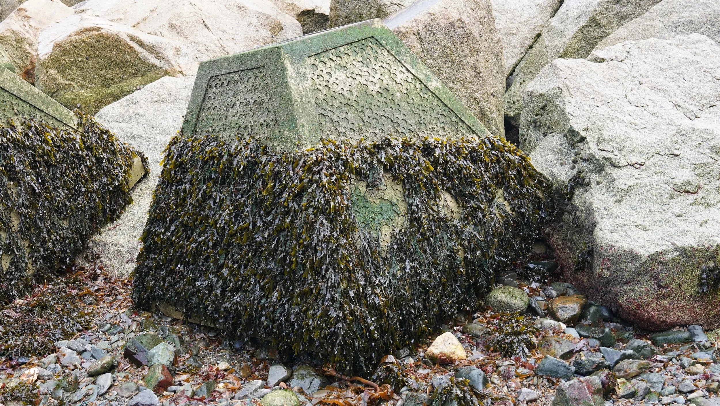 2024 at Exo Engineering 